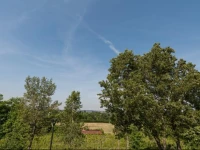 Agriturismo B&B Corte Tonolli 