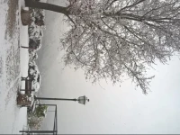 Locanda Cacio Re 