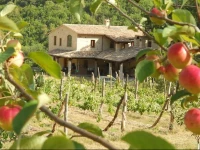 Agriturismo il Piano 
