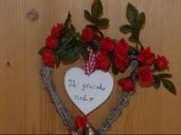 Il piccolo nido 