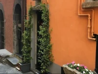 Appartamenti San Giorgio 