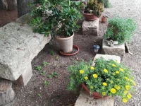 Masseria Caracci 