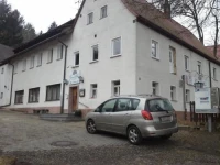 Gruner Baum Nurnberg Brunn 