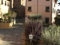 B&B Arivellini 