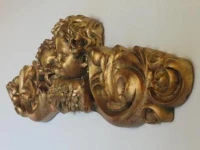 Piccola Volpe 
