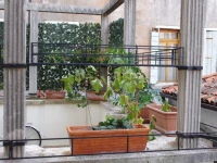Artist Loft Venice 