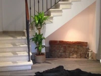 B&B Fortuny 