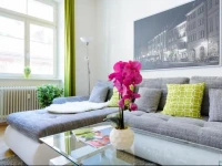 Comfort Apartment City Center 