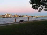 Venice Home 