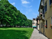 Verde Veneziano 