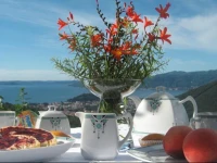 Giardino sul Lago 