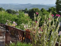 B&B Pergolesi 