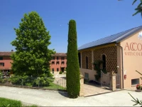 Accornero Giulio E Figli B&B 