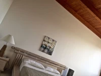 Il Sireneo 