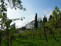 Le Mandolare 