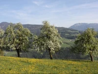 Ansitz Schloss Gravetsch 