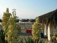 Le Residenze di Porto Corallo 