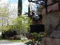 Agriturismo Alle Rose 