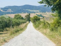 In Canto Sul Poggio 