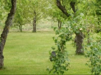 Moen Oekologisk Bed & Breakfast 