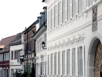 Barengasse Apartments 