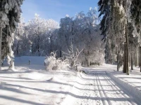Gasthof Rohrig 2*