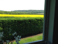 Horsens Room