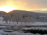 Landhotel Gruner Baum 