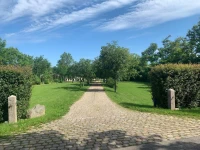 Bremsmaj Farm Holiday 