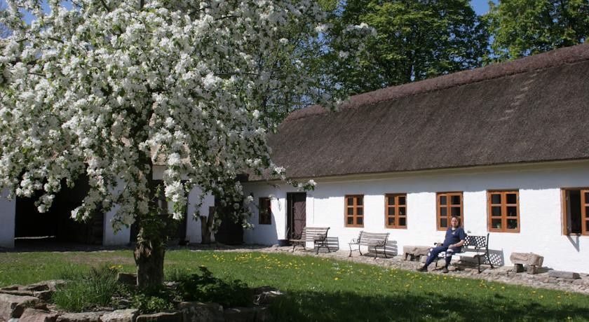 Springbakgaard Bed & Breakfast 