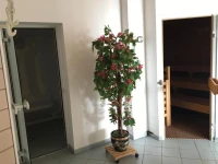 Ferienappartements Rausch 