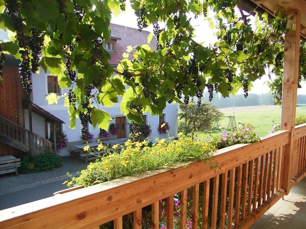 Hanauerhof 