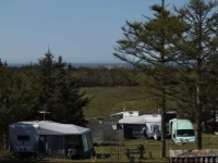 Guldager Camping 