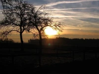 Landgasthof Anker 
