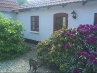 Vranum Bed & Breakfast 