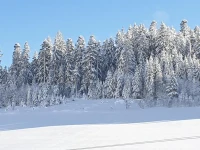 Appartement Rehblick 
