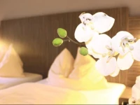 Centro Hotel Alzey 