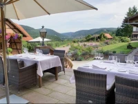 Landhotel der Schafhof Amorbach 