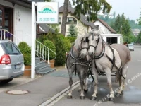 Hotel Morgensonne 