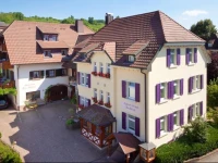 Ringhotel Appart-Hotel Badblick 