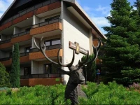 Kur- und Gesundheitshotel Zum Goldenen Hirsch 