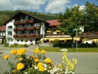 Hotel Alpengasthof LГ¶wen 