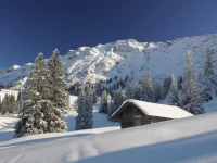 Landhotel Berghof 