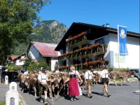 Hotel Restaurant Amadeus 