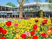 Appartementhaus Kurpark 