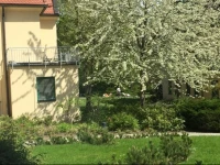 Ferienwohnung in Bad Saarow 