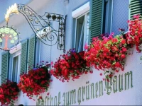 Hotel Restaurant GrГјner Baum und Altes Tor 