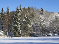 Pension Volkert 
