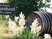 Hotel Batzenhaus 