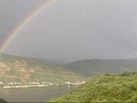 Ferienwohnung Rheinblick